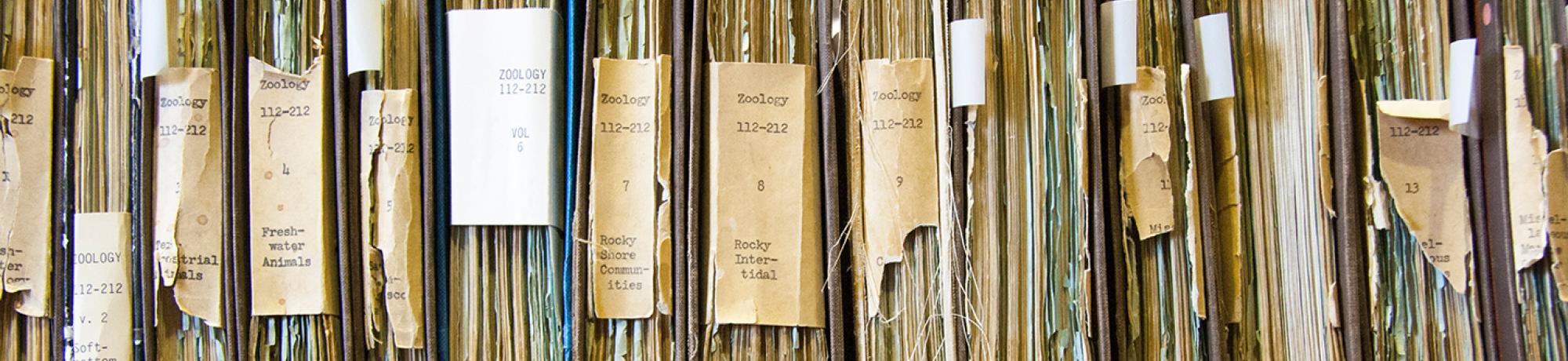 Book spines