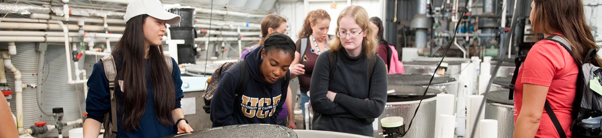Students tour the small sturgeon tanks during an Animal Science 1 class at the Center for Aquatic Biology and Aquaculture.