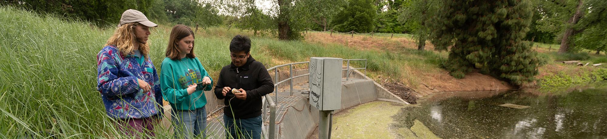 Students doing research work at the environment.