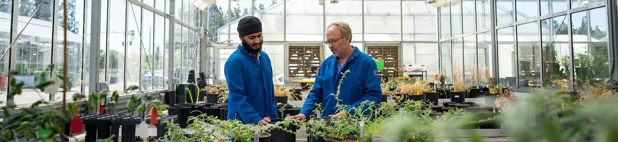 Two people working in the greenhouse.