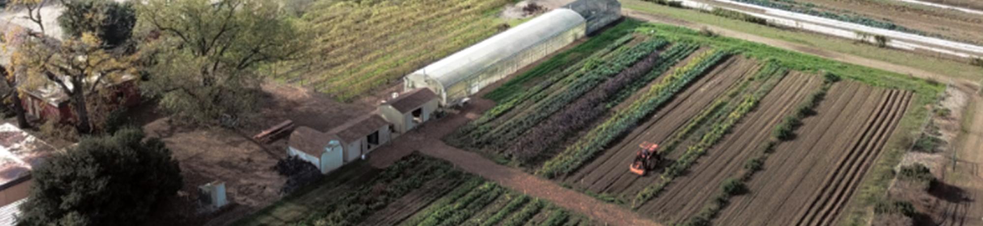 The farm outside the Sustainable Living and Learning Community.