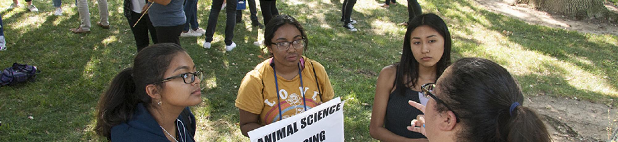 Transfer students at a UAP summer event.