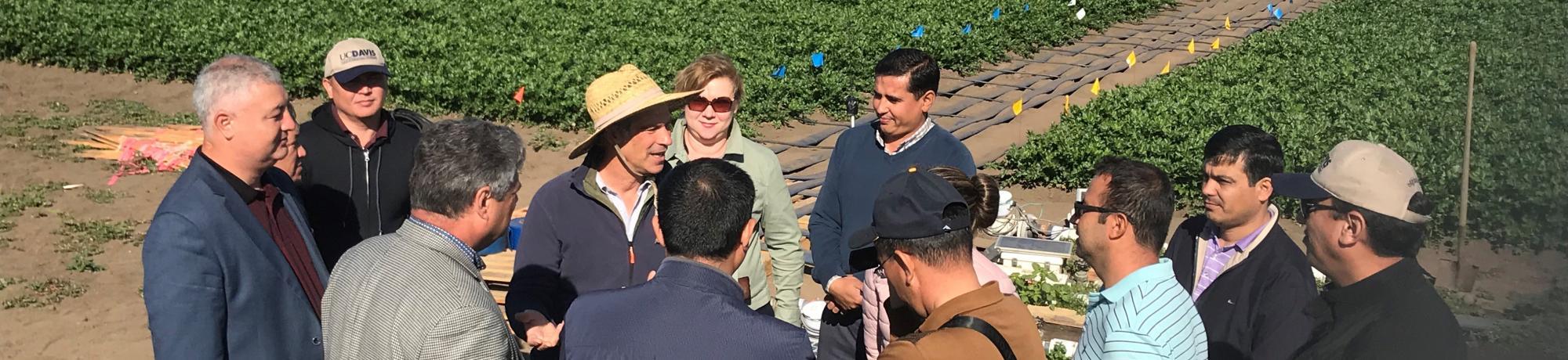 A group of people talking in Uzbekistan