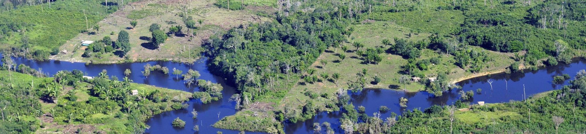 Amazon river