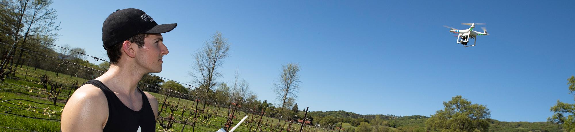 A student flying a drone over a vineyard.