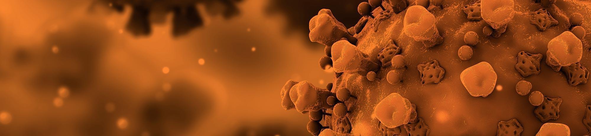 An illustration of the COVID-19 virus.