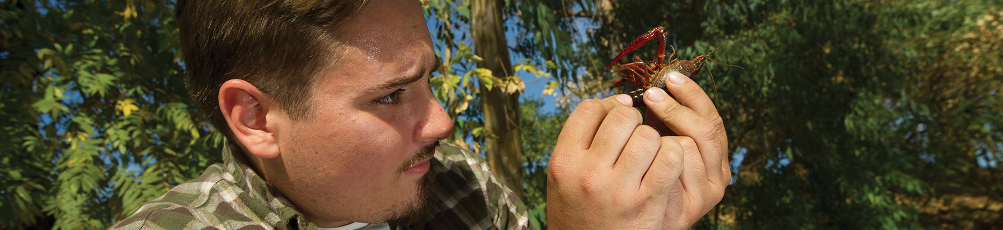 A person holding a crayfish.