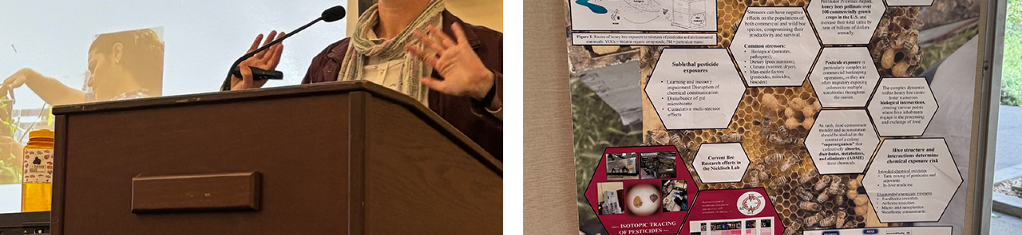 A person stands at a podium in the left picture. In the right picture an academic poster is on display.