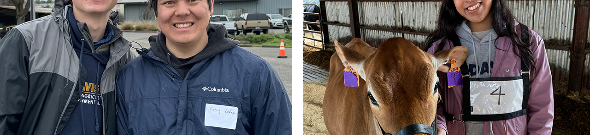 UC Davis Field Day was buzzing with energy as FFA and 4-H students competed, connected and celebrated all things agriculture. (Stephanie Perla/UC Davis)