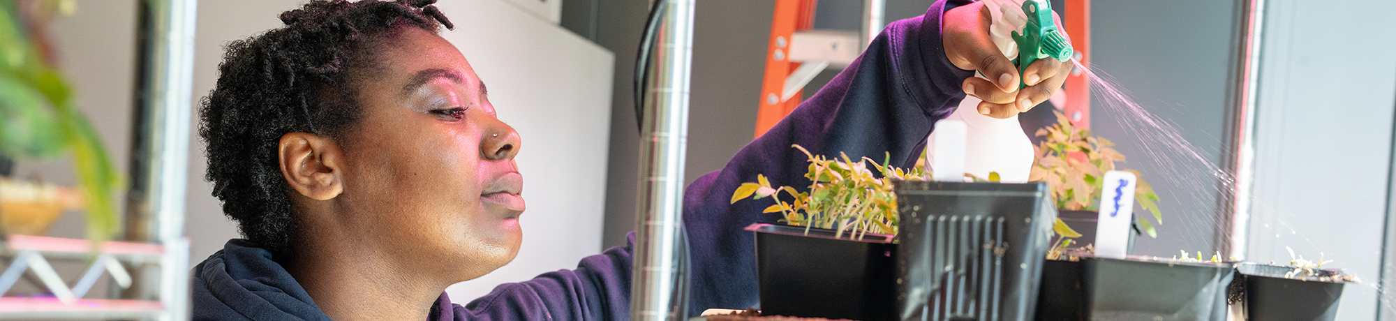 A student sprays a plants.