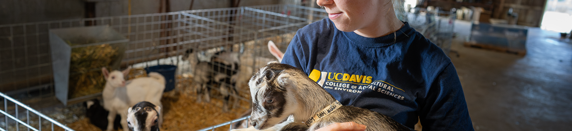 A female student holds a newborn goat.