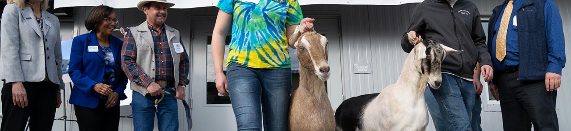 We kicked the New Year off with the official opening of our Noel-Nordfelt Animal Science Goat Dairy and Creamery on January 25. The facility is helping students model common animal husbandry issues facing production goat dairies. It also provides a space to process milk and to make cheese with state-of-the-art equipment.