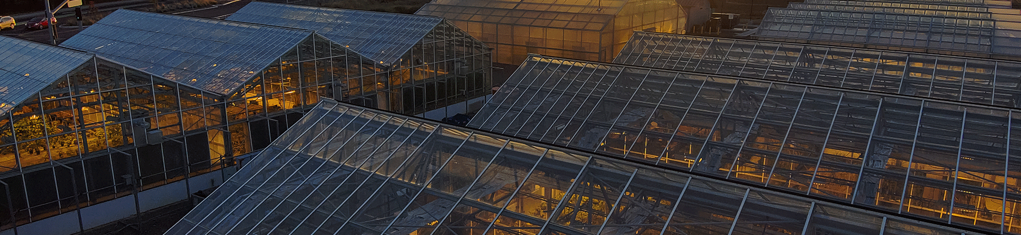 The sun sets over the CA&ES greenhouses.