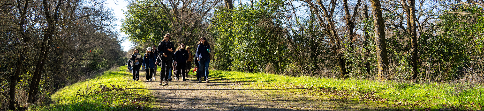 People walking along a path outside.