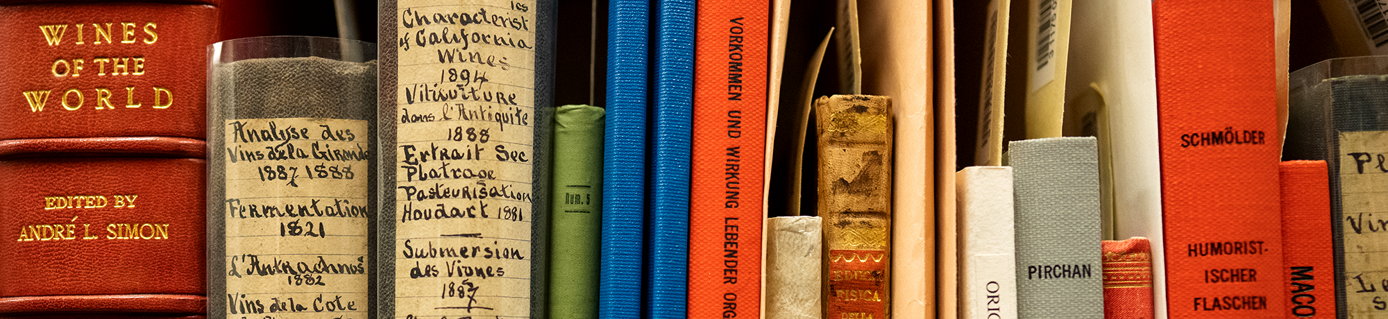 A row of books on a bookshelf.