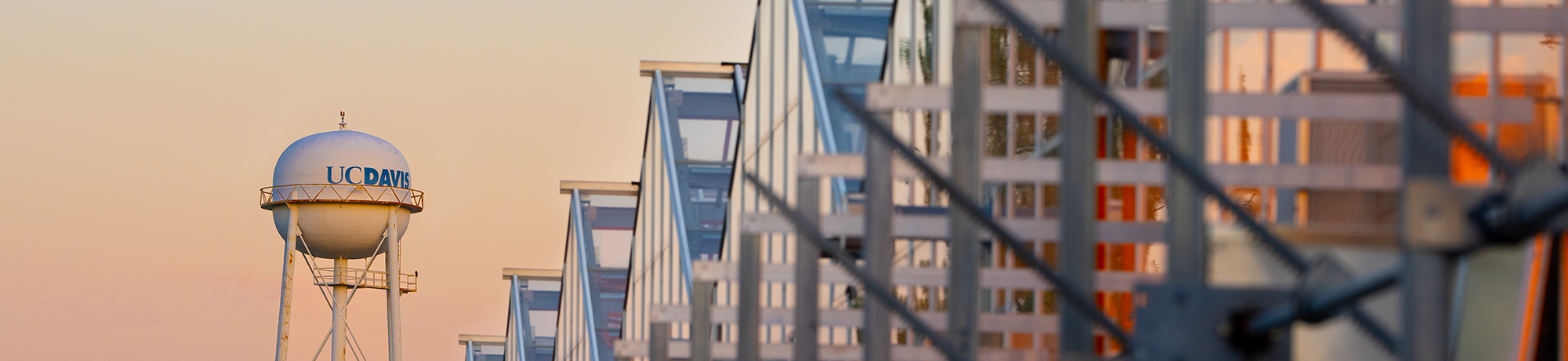 UC Davis CORE greenhouses at sunset.